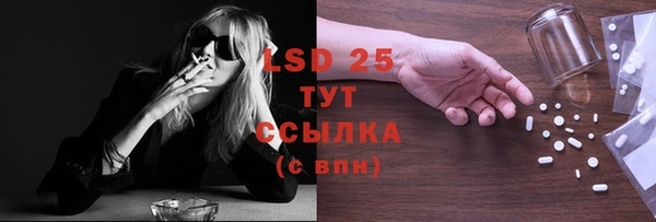 стафф Касимов