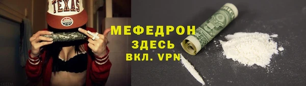 стафф Касимов