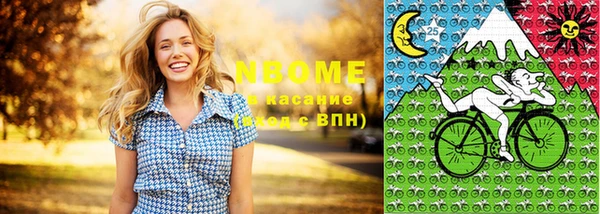 молекула духа Карпинск