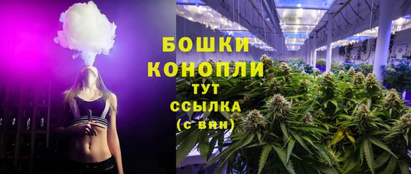 стафф Касимов