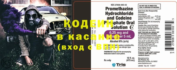 стафф Касимов