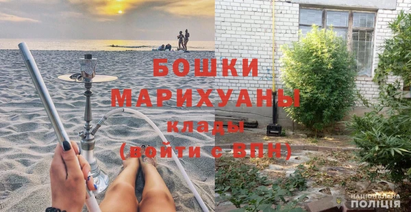 молекула духа Карпинск