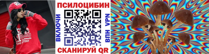 Псилоцибиновые грибы Psilocybe Карабулак