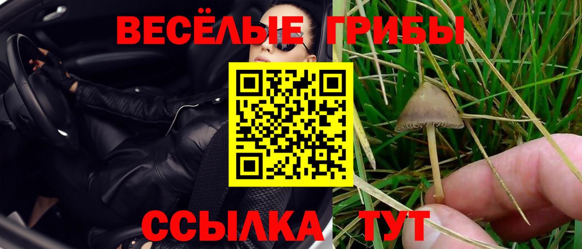Галлюциногенные грибы прущие грибы  Псилоцибиновые грибы Cubensis  Карабулак  цена наркотик  Вход с VPN 