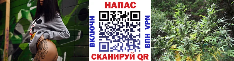 Бошки марихуана конопля  Карабулак 